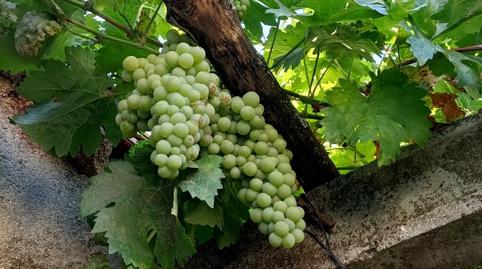 Foto 2 de Planta baja en venta en Calle de las Eras, 26, Peromingo, Salamanca