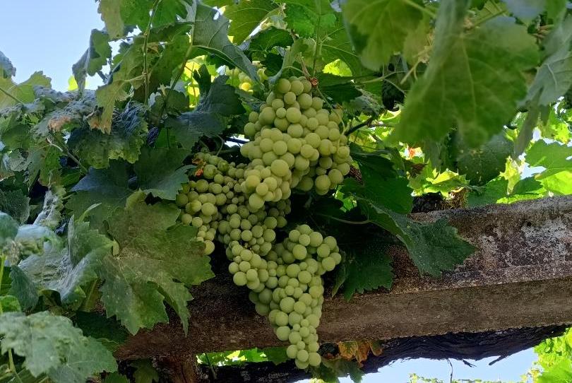 Foto 1 de Planta baja en venta en Calle de las Eras, 26, Peromingo, Salamanca