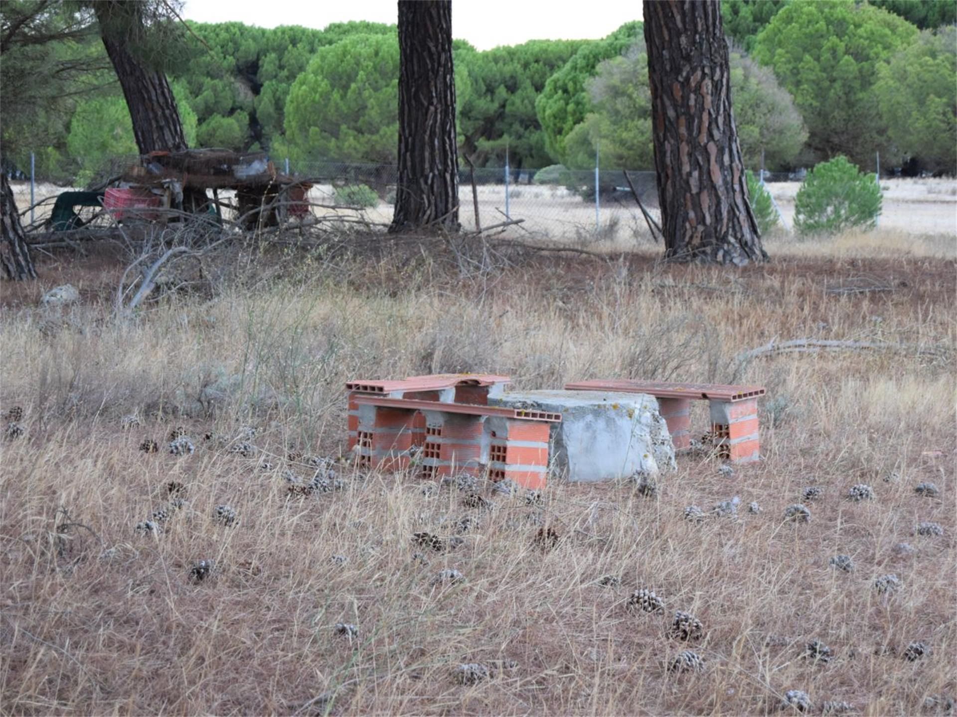 Non-constructible Land for sale in Traspinedo