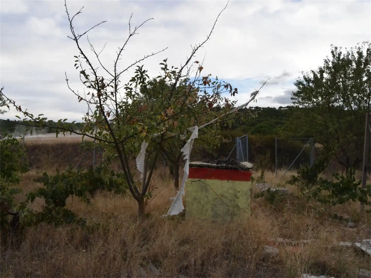 No Urbanizable en venta en Traspinedo No Urbanizable en venta en Traspinedo
