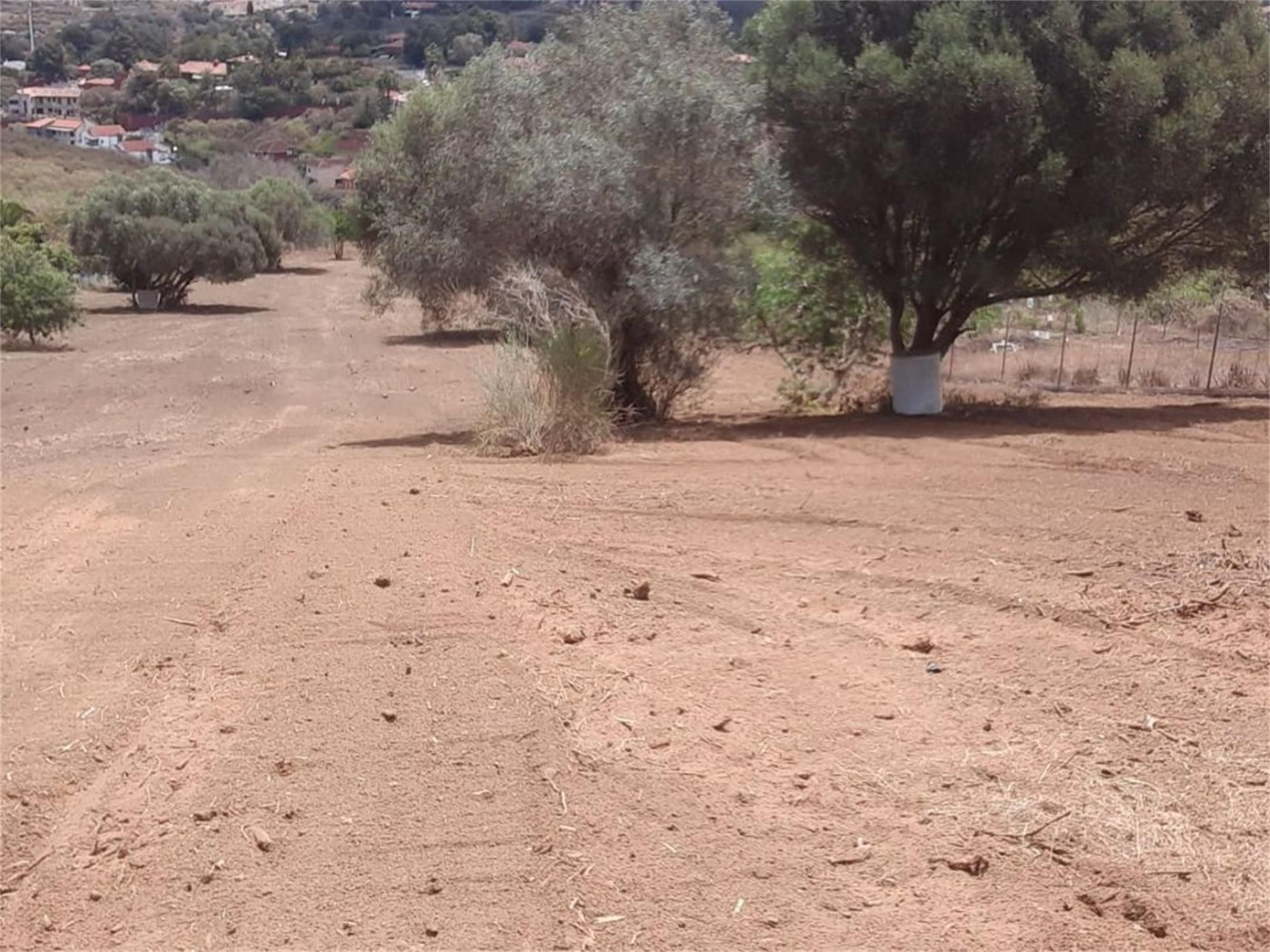 Non-constructible Land for sale in Arona