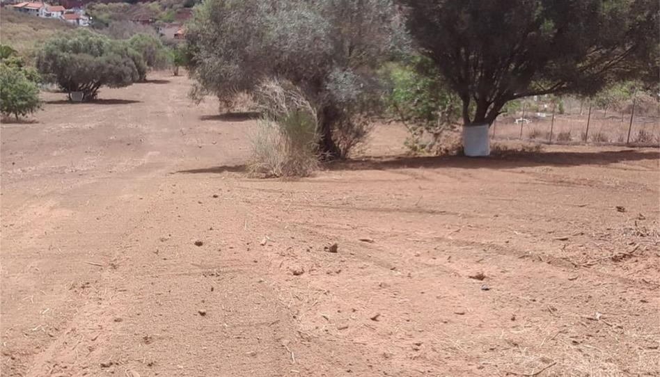 Non-constructible Land for sale in Camino a Los Toscales, Cabo Blanco, Santa Cruz de Tenerife - image 1 Photo 1 of Non-constructible Land for sale in Camino a Los Toscales, Cabo Blanco, Santa Cruz de Tenerife