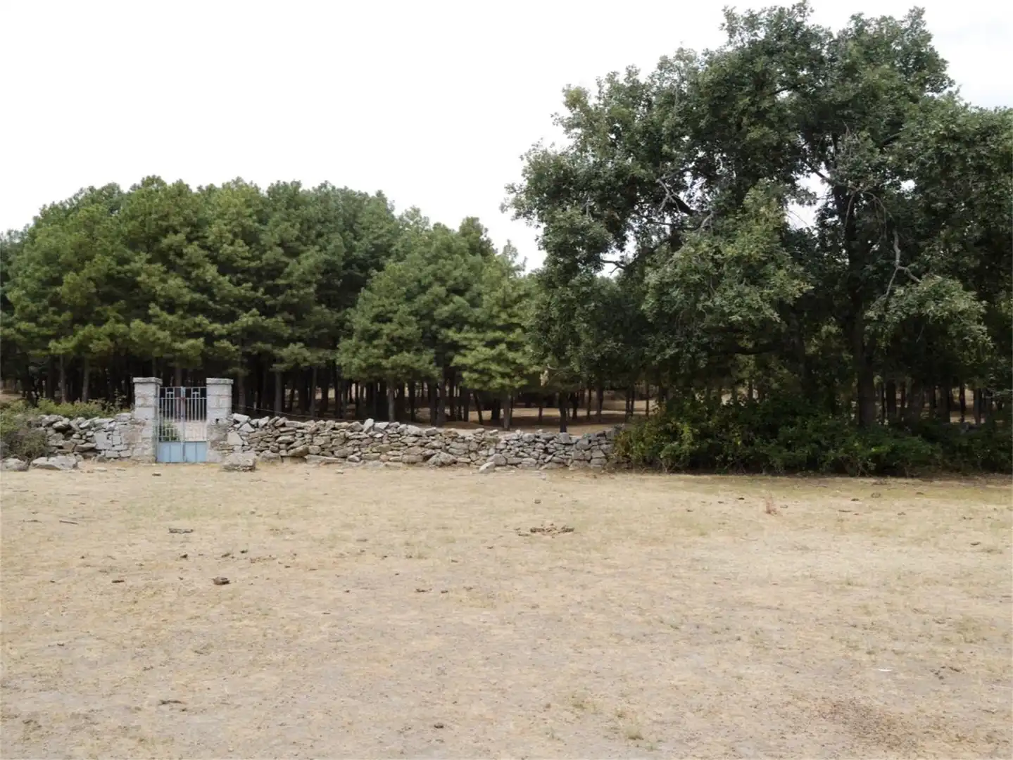 Grundstücke zum Verkauf in Calle Chozuela, Iglesia - Estación Grundstücke zum Verkauf in Moralzarzal