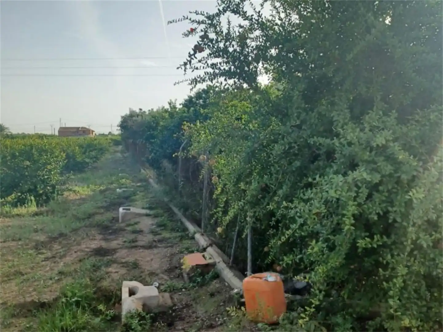 Non-constructible Land for sale in Murcia