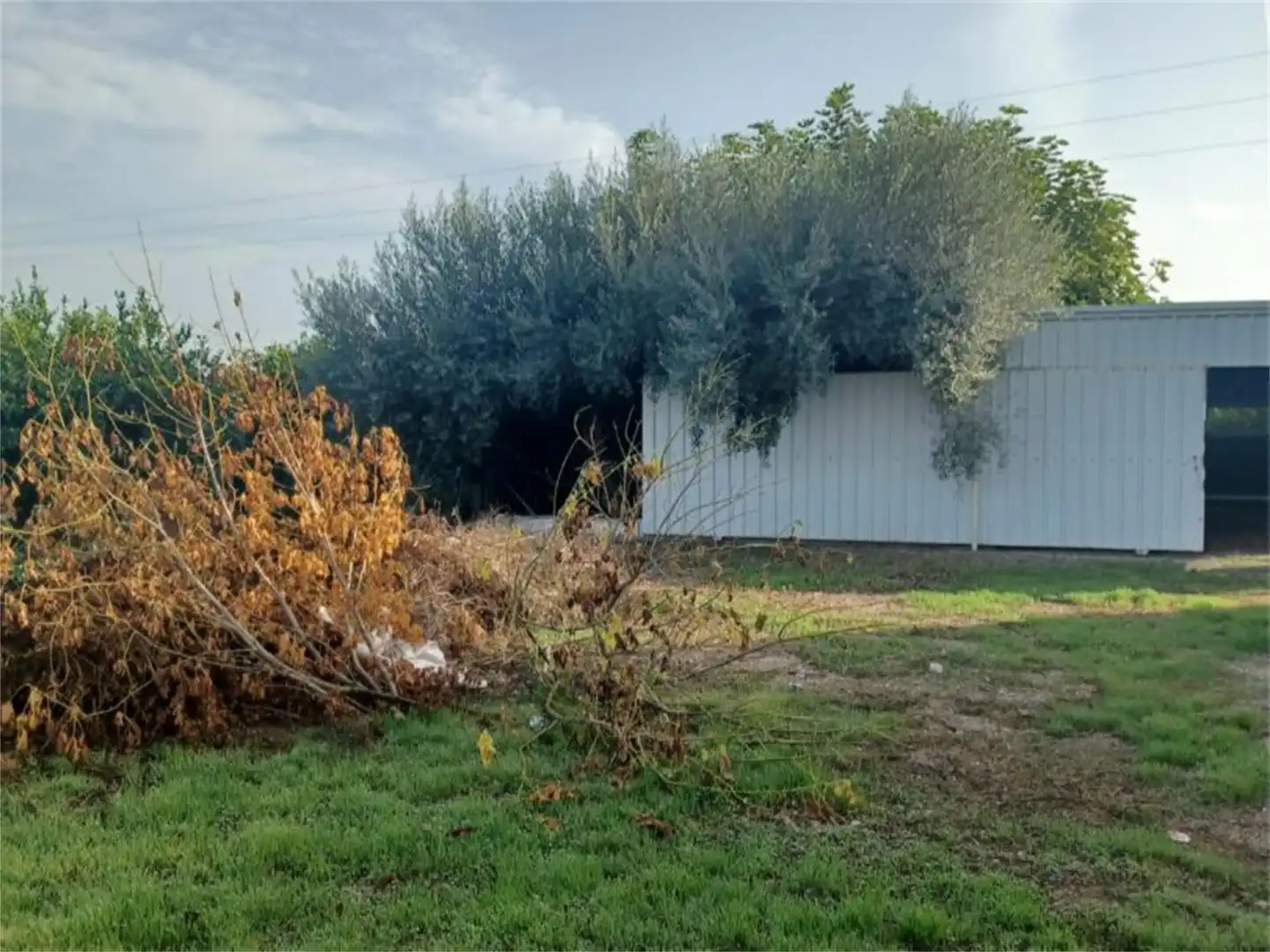 Non-constructible Land for sale in Murcia