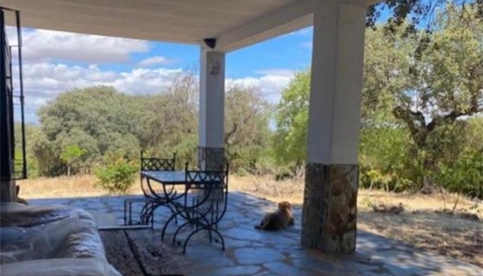 Finca rústica en venda a Calle Fuente, Zalamea de la Serena, Badajoz - imatge 1 Foto 1 de Finca rústica en venda a Calle Fuente, Zalamea de la Serena, Badajoz