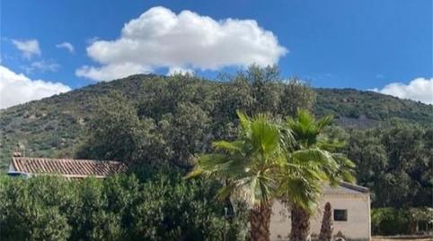 Finca rústica en venda a Calle Fuente, Zalamea de la Serena, Badajoz - imatge 2 Foto 2 de Finca rústica en venda a Calle Fuente, Zalamea de la Serena, Badajoz