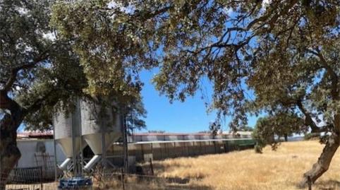 Finca rústica en venda a Calle Fuente, Zalamea de la Serena, Badajoz - imatge 3 Foto 3 de Finca rústica en venda a Calle Fuente, Zalamea de la Serena, Badajoz