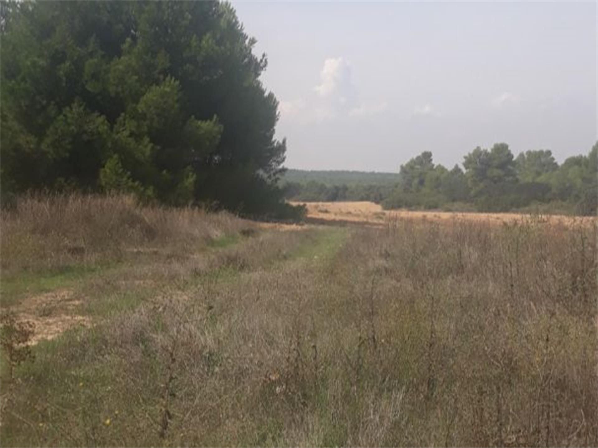Land for sale in  Albacete Capital