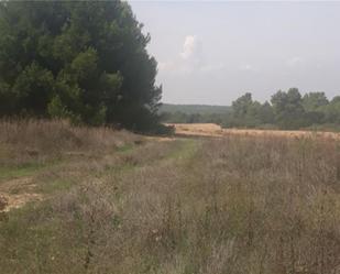 Terreny en venda en  Albacete Capital