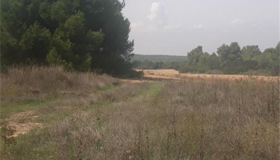 Terreno en venta en Avenida de Isabel la Católica, Industria, Albacete - imagen 1 Foto 1 de Terreno en venta en Avenida de Isabel la Católica, Industria, Albacete