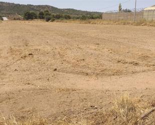 Finca rústica en venda en Aspe