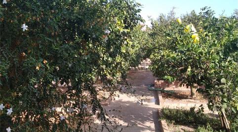 Photo 4 of Country homes for sale in Almodóvar del Río, Córdoba