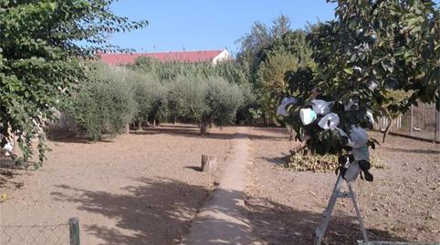 Photo 5 of Country homes for sale in Almodóvar del Río, Córdoba