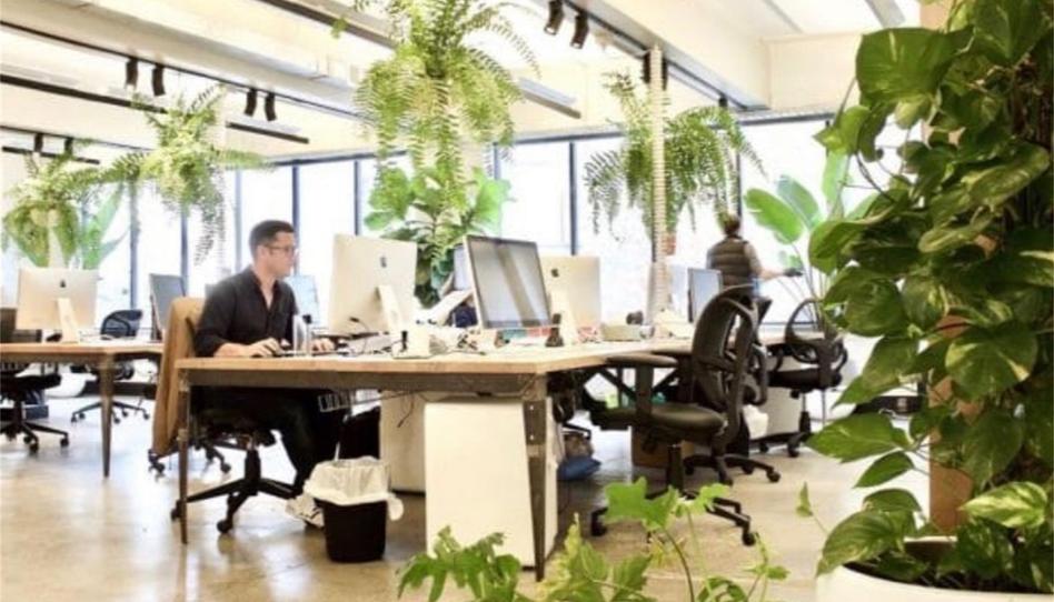 Oficina de lloguer a Carretera Pruelles, Levantina - Montgavina - Quintmar, Barcelona - imatge 1 Foto 1 de Oficina de lloguer a Carretera Pruelles, Levantina - Montgavina - Quintmar, Barcelona