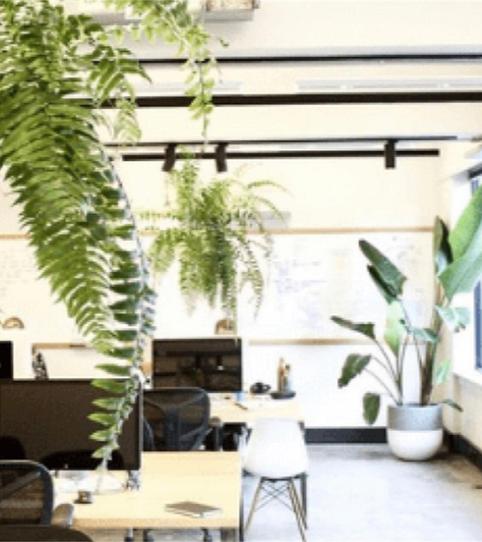 Oficina de lloguer a Carretera Pruelles, Levantina - Montgavina - Quintmar, Barcelona - imatge 2 Foto 2 de Oficina de lloguer a Carretera Pruelles, Levantina - Montgavina - Quintmar, Barcelona