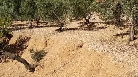 Photo 2 of Country house for sale in Carrer Barcelona, Valletes - Xiribecs, Tarragona