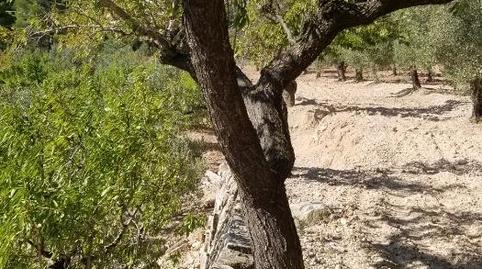 Photo 5 of Country house for sale in Carrer Barcelona, Valletes - Xiribecs, Tarragona