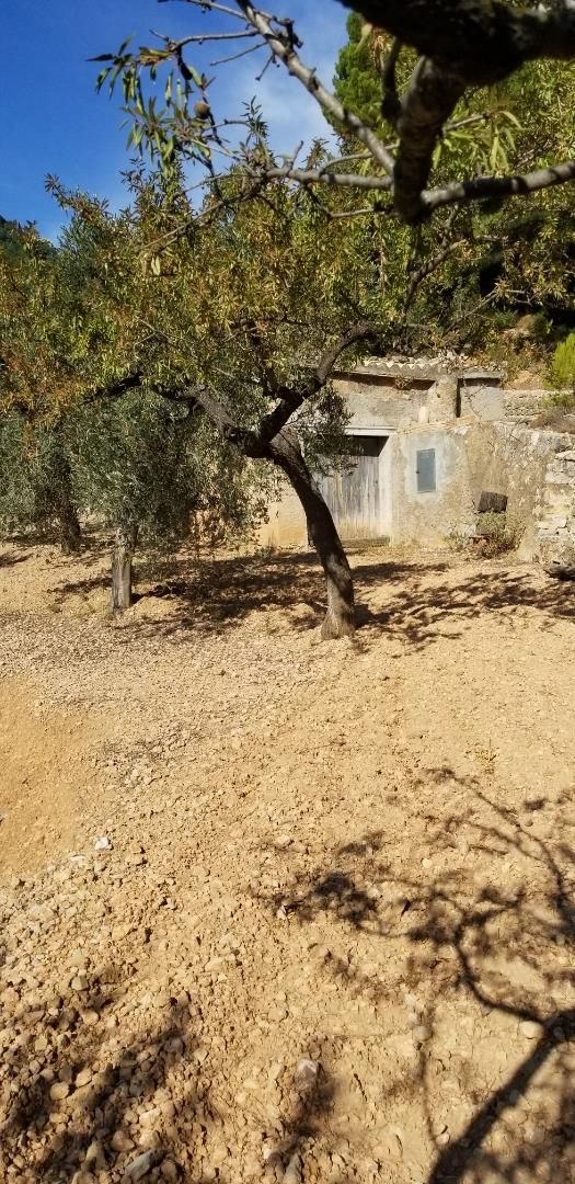 Finca rústica en venda en Amposta