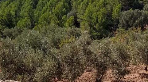 Photo 3 of Country house for sale in Carrer Barcelona, Valletes - Xiribecs, Tarragona