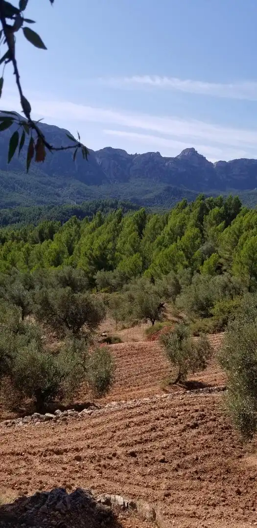 Finca rústica en venda a Carrer Barcelona, Valletes - Xiribecs Finca rústica en venda en Amposta