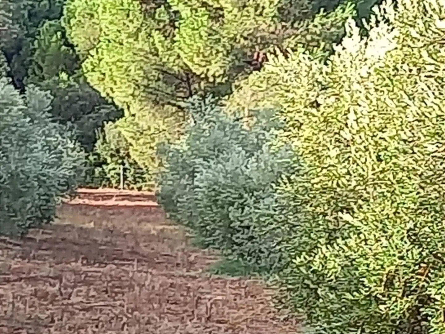 Finca rústica en venda a Carretera Cartaya-gibraleón, Núcleo urbano Finca rústica en venda en Aljaraque