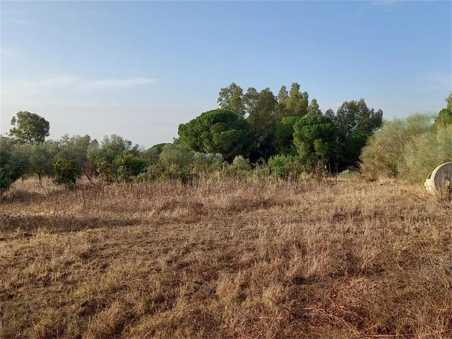 Finca rústica en venda a Carretera Cartaya-gibraleón, Núcleo urbano Finca rústica en venda en Aljaraque
