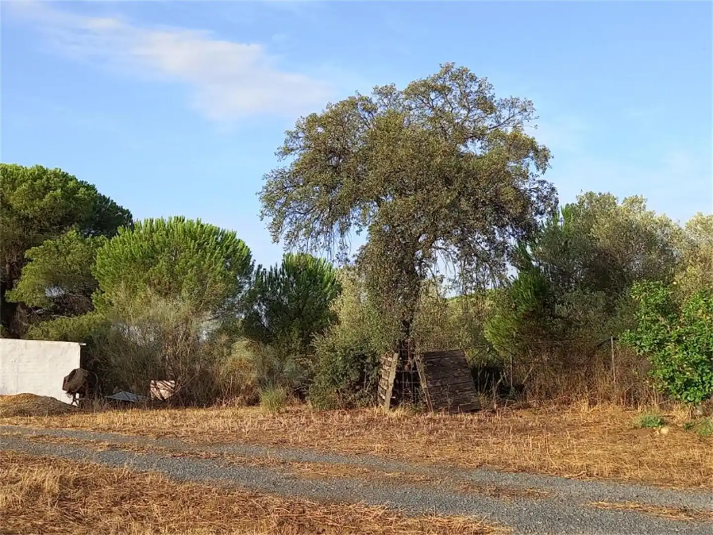 Finca rústica en venda a Carretera Cartaya-gibraleón, Núcleo urbano Finca rústica en venda en Aljaraque
