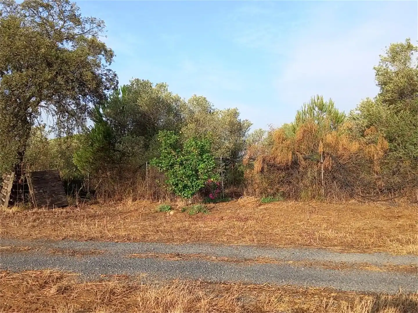 Finca rústica en venda a Carretera Cartaya-gibraleón, Núcleo urbano Finca rústica en venda en Aljaraque