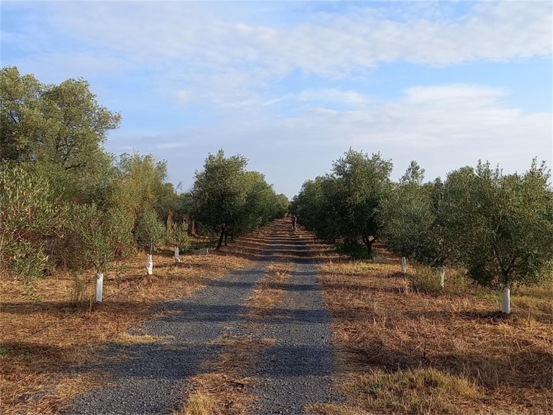Country house for sale in Aljaraque
