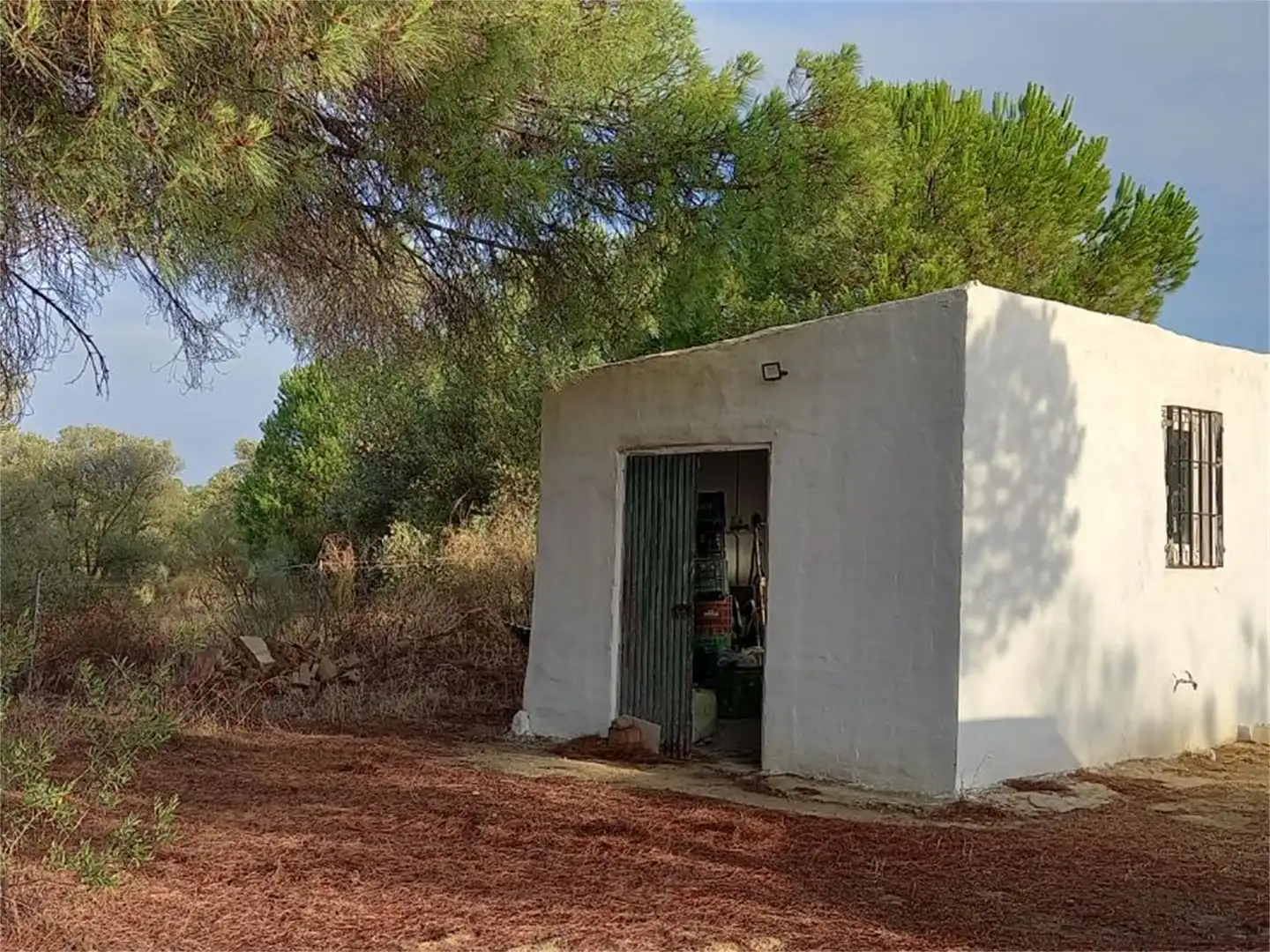 Finca rústica en venda a Carretera Cartaya-gibraleón, Núcleo urbano Vista exterior de Finca rústica en venda en Aljaraque