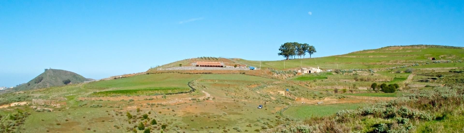 Land for sale in Gáldar