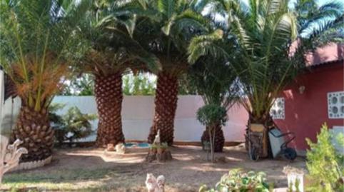 Foto 2 de Finca rústica en venta en Plasencia de Jalón, Zaragoza