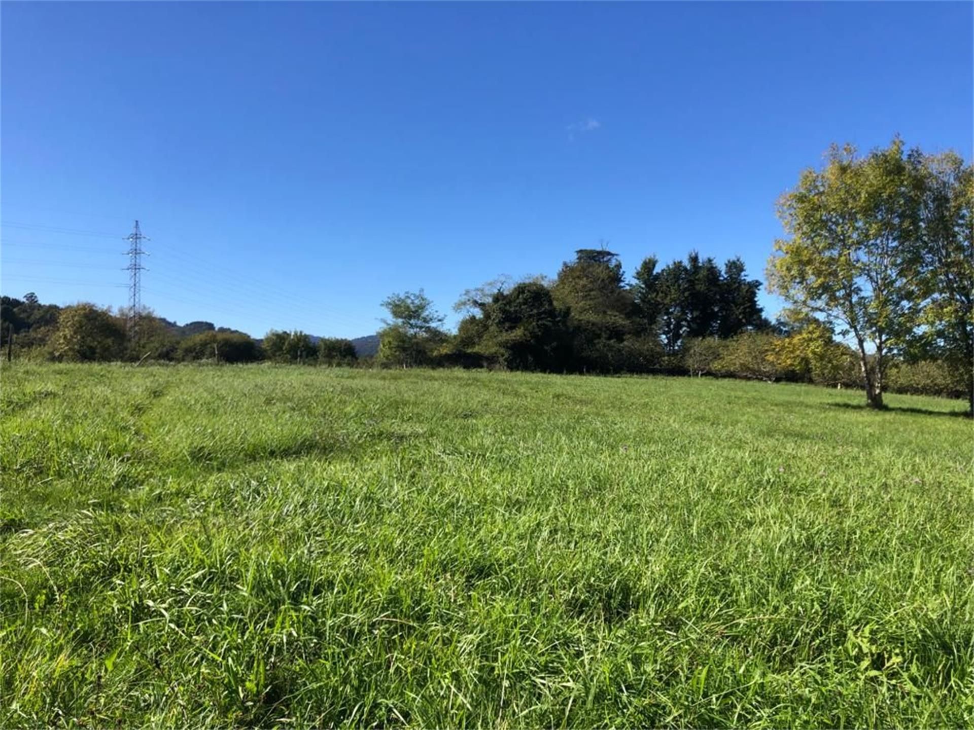 Constructible Land for sale in Colunga