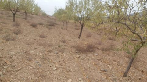 Grundstücke zum Verkauf in Camino de Consuegra, Urda, Toledo - Bild 4 Foto 4 von Grundstücke zum Verkauf in Camino de Consuegra, Urda, Toledo
