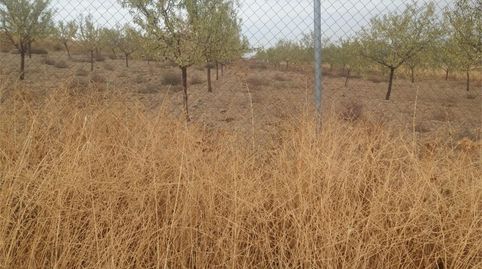 Grundstücke zum Verkauf in Camino de Consuegra, Urda, Toledo - Bild 5 Foto 5 von Grundstücke zum Verkauf in Camino de Consuegra, Urda, Toledo