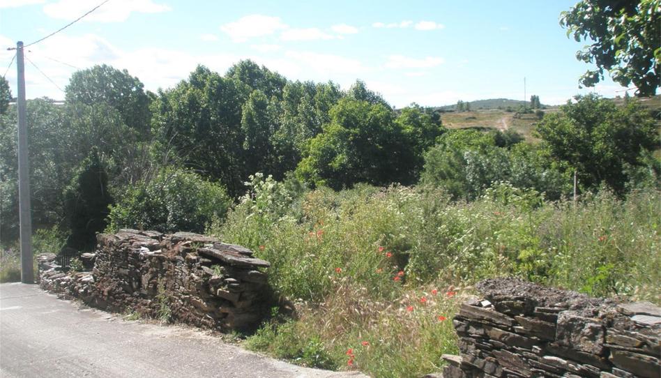Foto 1 de Finca rústica en venda a Calle Pasión, Losacio, Zamora
