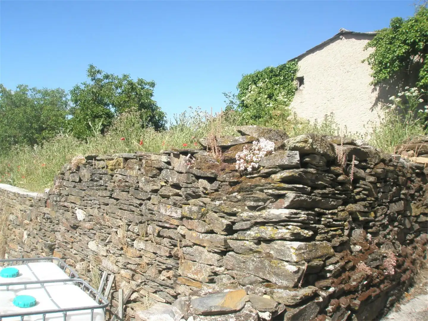 Country homes for sale in Losacio  with Private garden