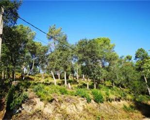 Land for sale in Massanes