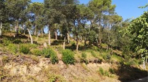 Terreno en venta en Urbanització Sant Roc, 25, Massanes, Girona - imagen 2 Foto 2 de Terreno en venta en Urbanització Sant Roc, 25, Massanes, Girona