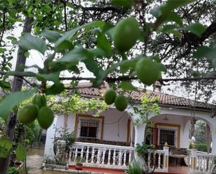 Exterior view of Flat for sale in Castilblanco de los Arroyos  with Swimming Pool