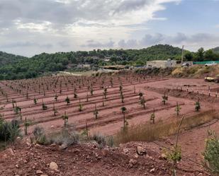 No Urbanitzable en venda en Albalat dels Tarongers