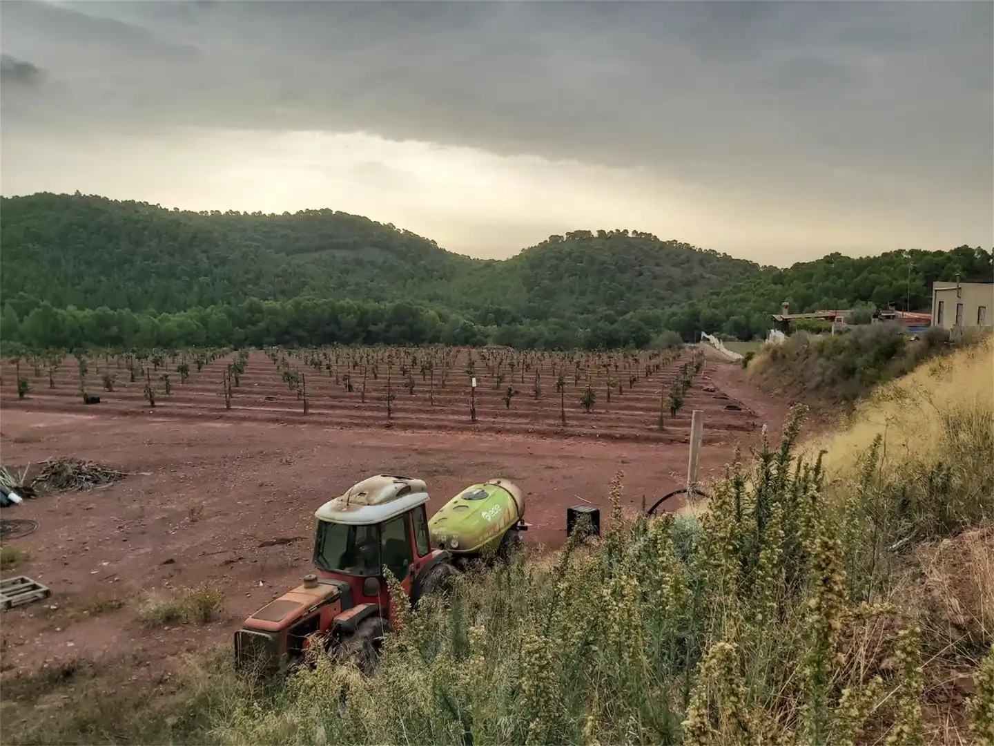 Jardí de No Urbanitzable en venda en Albalat dels Tarongers