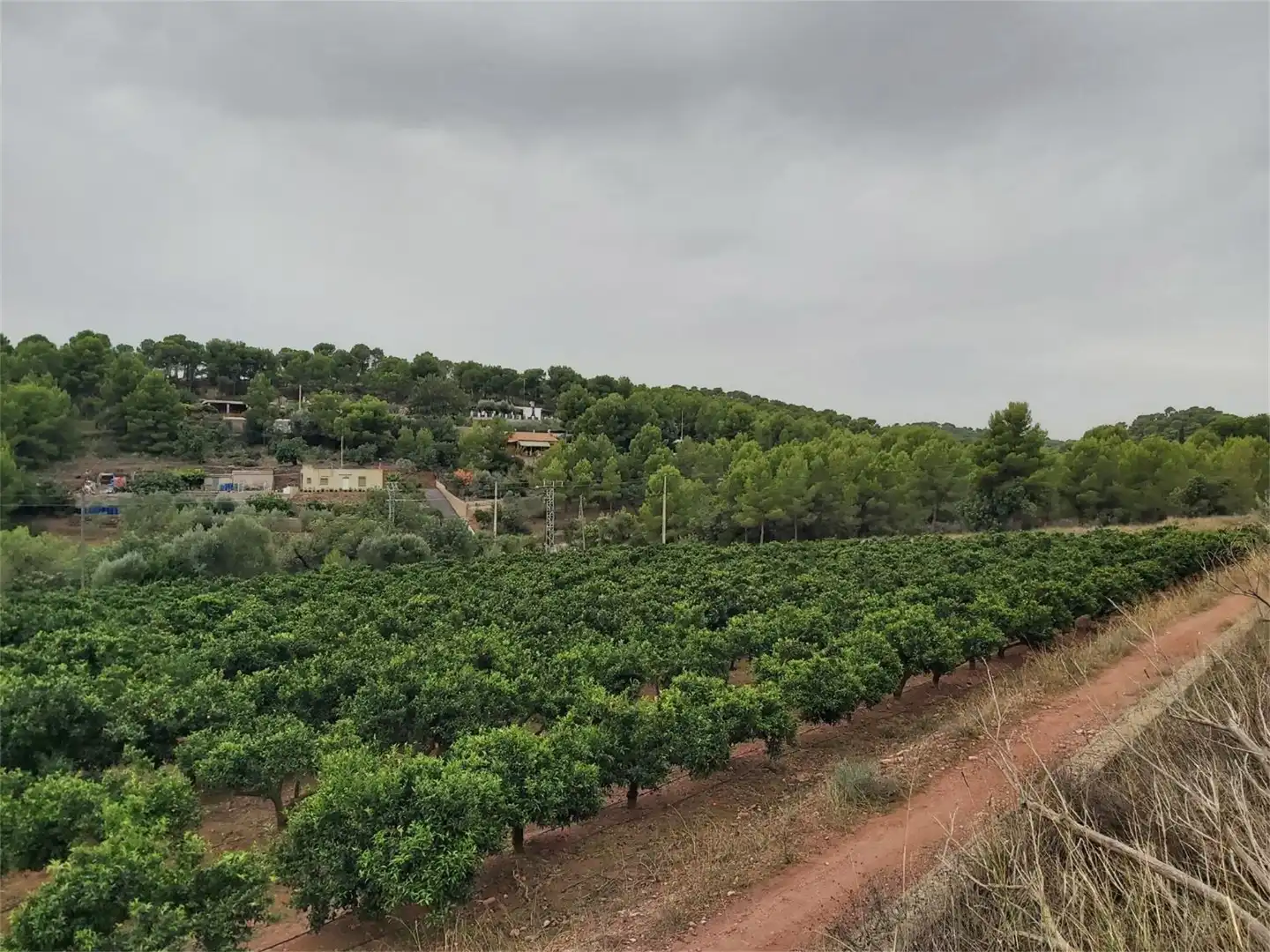 No Urbanitzable en venda en Albalat dels Tarongers