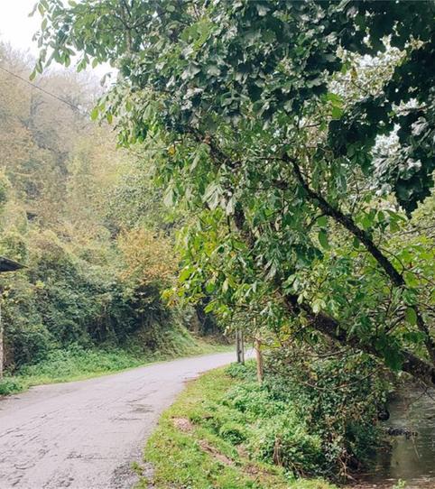 Foto 2 de Pis en venda a Santalla, Samos, Lugo