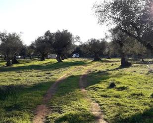 Finca rústica en venda en Higuera la Real