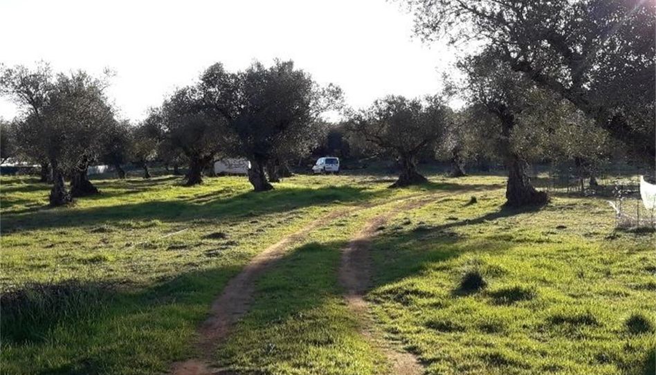 Country house zum Verkauf in Higuera la Real, Higuera la Real, Badajoz - Bild 1 Foto 1 von Country house zum Verkauf in Higuera la Real, Higuera la Real, Badajoz