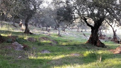 Country house zum Verkauf in Higuera la Real, Higuera la Real, Badajoz - Bild 3 Foto 3 von Country house zum Verkauf in Higuera la Real, Higuera la Real, Badajoz