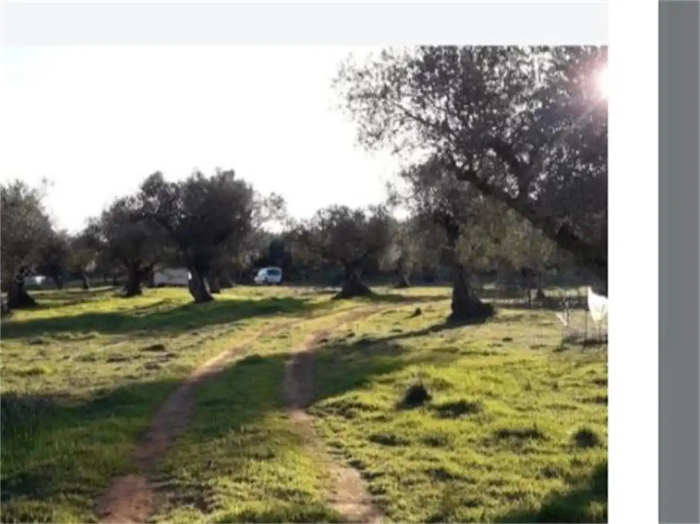 Country homes for sale in Higuera La Real, Higuera la Real Country homes for sale in Higuera la Real
