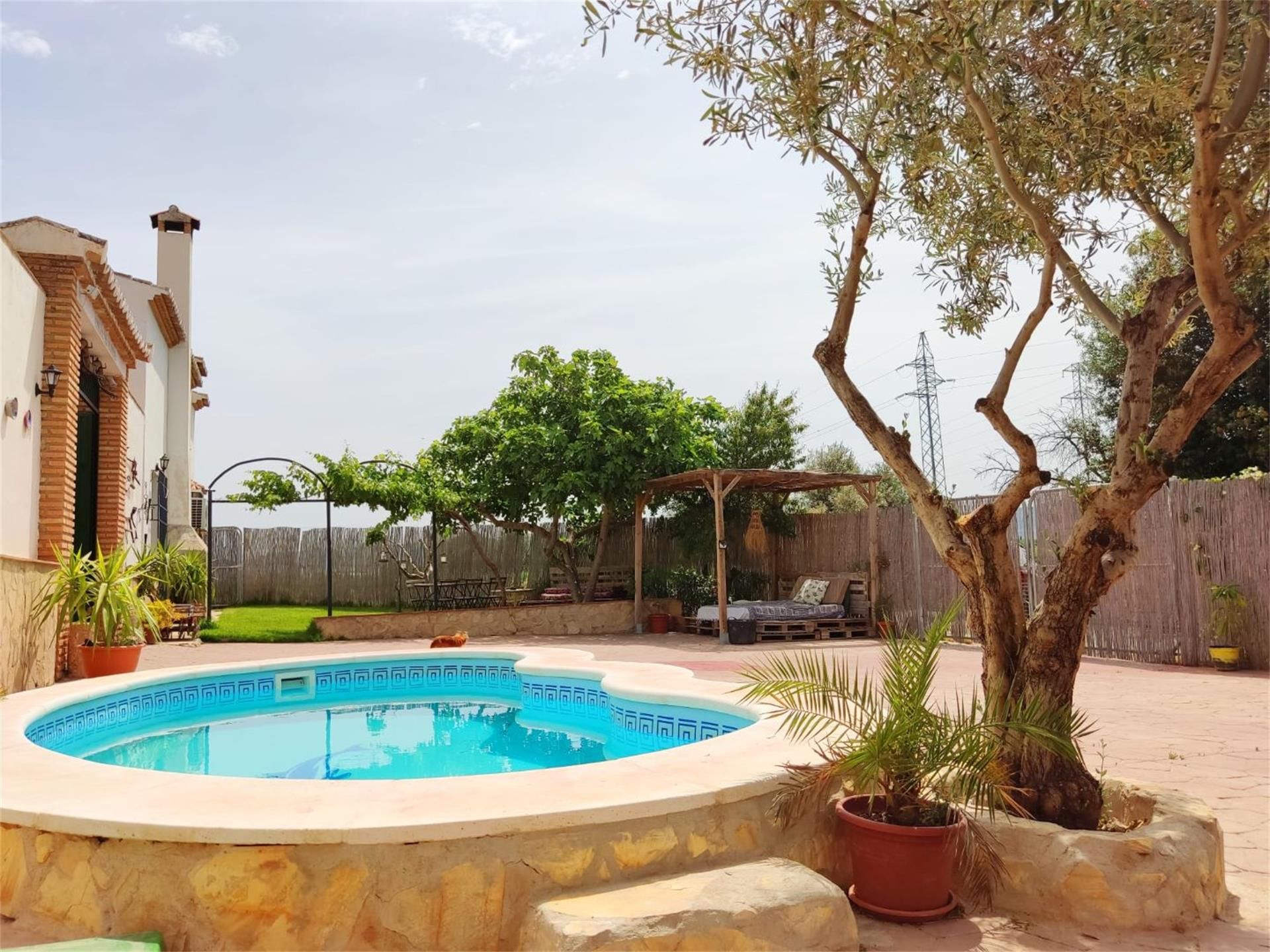 Swimming pool of Country house to rent in Antequera  with Air Conditioner, Heating and Private garden